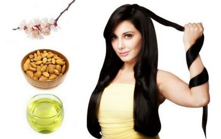 Mi a legjobb haj ranglistáján olaj források és vélemények egy jó hatással