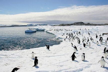 Amint felfedezték Antarktisz