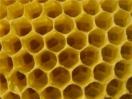 Hogy a méhek a méz folyamatának leírását, és kiemeli