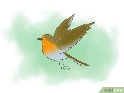Hogyan lehet elkapni egy madár