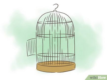 Hogyan lehet elkapni egy madár