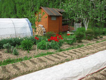 Hogyan tervezzük meg kertben ágy és ültető elrendezése