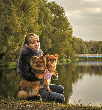 Hogyan kell tanítani a kutyát, hogy a Chihuahua paddock