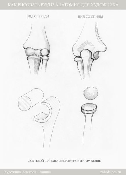 Hogyan kell felhívni a kezét Anatomy Művészek