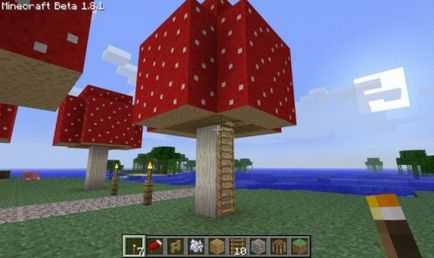 Hogyan készítsünk egy Minecraft ház egy gyönyörű és megbízható