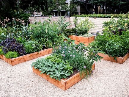 Hogyan készítsünk egy ágy kezével design az ágy a kert, a megfelelő kert, szép gyümölcsös