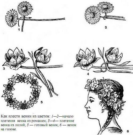 Hogyan kell szőni a koszorú a fején művirág