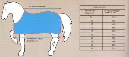 Hogyan kell varrni egy kényelmes takaró lovaknak