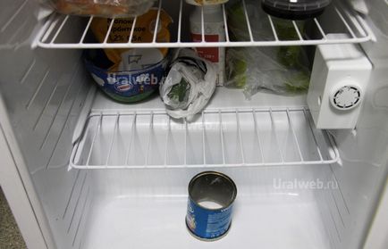 Hogyan, hogy elpusztítsa a szag a hűtőben