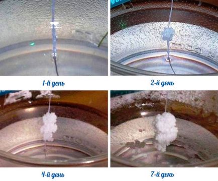 Hogyan növekszik egy kristály só és víz a lakásban lépésről lépésre fotókkal és videó