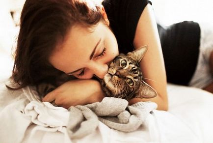 Miért álom egy macska álom könyv, nő, szürke, mondván hiányzik, macskák, simogatta, lásd
