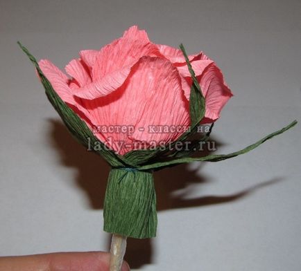 Candy - hullámpapír rózsák március 8-án, a mester - osztály fotók, lépésről lépésre
