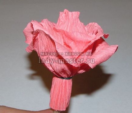Candy - hullámpapír rózsák március 8-án, a mester - osztály fotók, lépésről lépésre