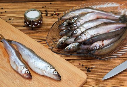 Szaga - leírása hal receptek
