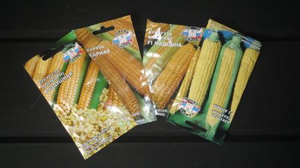 Kukorica, minden a felnövő az országban