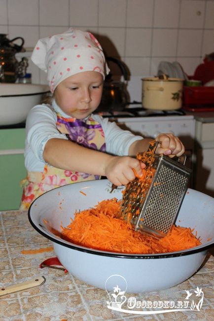 Savanyú káposzta télen - a vödör, hordó, mosdó, bankok, gyors klasszikus recept