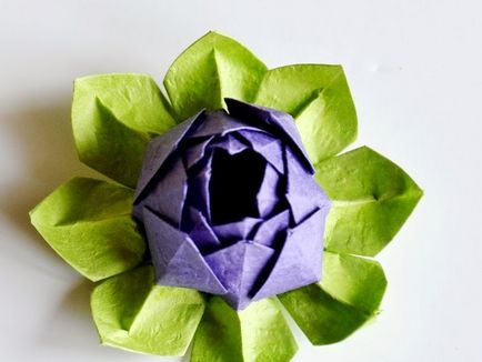 Lotus origami papír összeállítási diagramon és lépésről lépésre