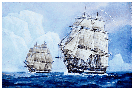 A felfedezés az Antarktisz, a legérdekesebb a történelem Magyar Haditengerészet