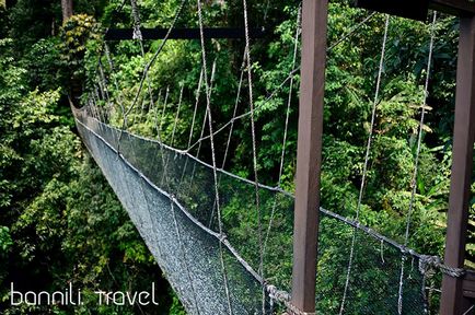Kinabalu Park, mit kell látni, hogyan lehet eljutni az árat
