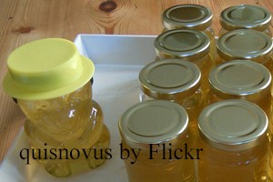 Apiary méhészeti üzleti, értékesítése méz