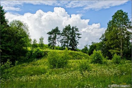 Vadvirágok nyári túra júliusban dombok külvárosokban a Dubna folyó