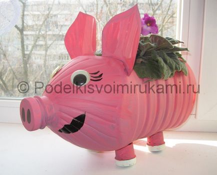 Pig ki egy műanyag palack kezével