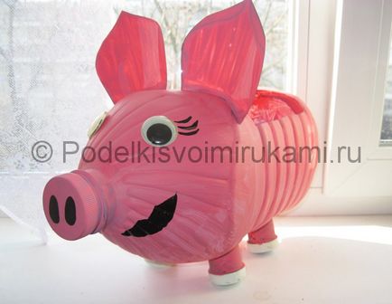 Pig ki egy műanyag palack kezével