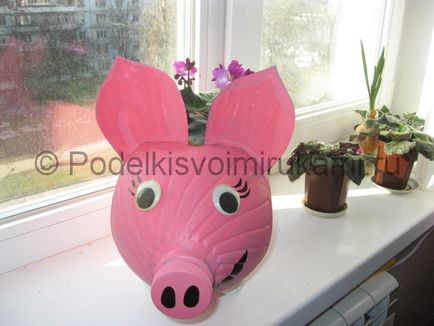 Pig ki egy műanyag palack kezével