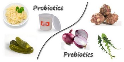 A probiotikumok és prebiotikumok bélrendszeri gyógyszerek, termékek listája