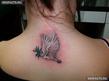Bird tetoválás jelentősége és fotók
