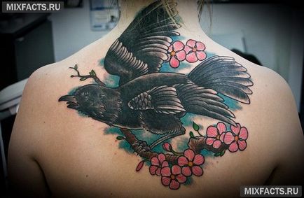 Bird tetoválás jelentősége és fotók