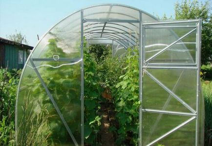 Távolság ha ültetés uborka üvegházban tippeket, videók és fotók