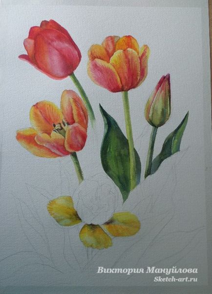 Rajzolj egy csokor tulipán