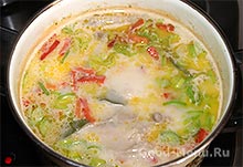 Sajt leves csirkével - recept lépésről lépésre fotók