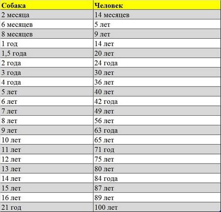 Mennyi idős a kutya az emberi években, egy ismerőse