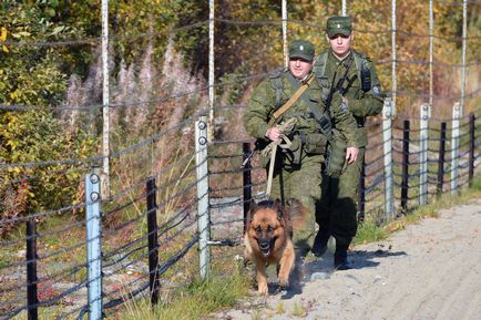 szerződés szolgáltató a határ menti csapatok az FSB Magyarország