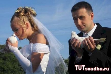 Esküvői balesetek - esküvői portált Wedding