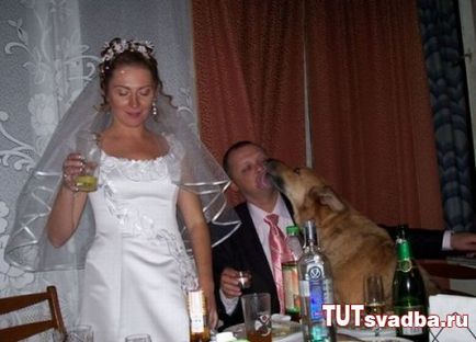 Esküvői balesetek - esküvői portált Wedding