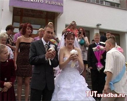 Esküvői balesetek - esküvői portált Wedding