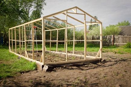 Greenhouse a fa, hogy a kezét a videó, fotó