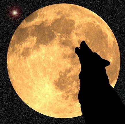 Ismerje meg a farkasok üvöltenek a hold valóban