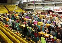 Cat show - kinek és miért