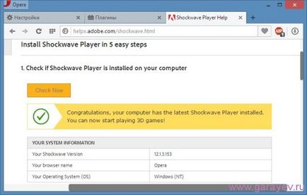 Visszaállítása hiba Shockwave Flash player opera, számítógépes problémák
