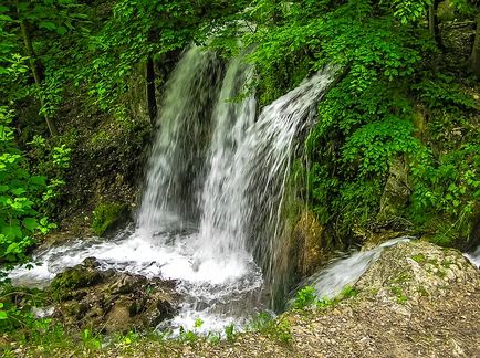 A fogadó érzelmek tanulni gyakorolni önkontroll