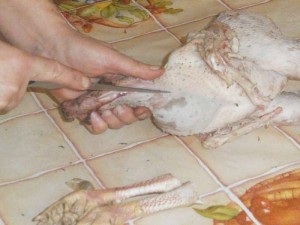 Levágása csirkék, hogyan lehet feltörni és lemészárolja csirkék