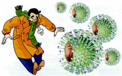 Fertőzés az influenzavírus, ahogyan azt