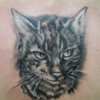 Jelentés tetoválás macska