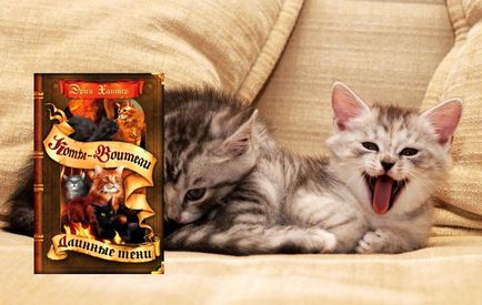 Top 12 könyv a macskákról - fénykép állatok
