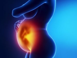 1-én, az érettségi foka a placenta különböző szakaszaiban a terhesség