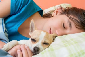 7 ok, amiért a kutya alszik veled